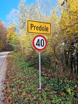 4 Predole